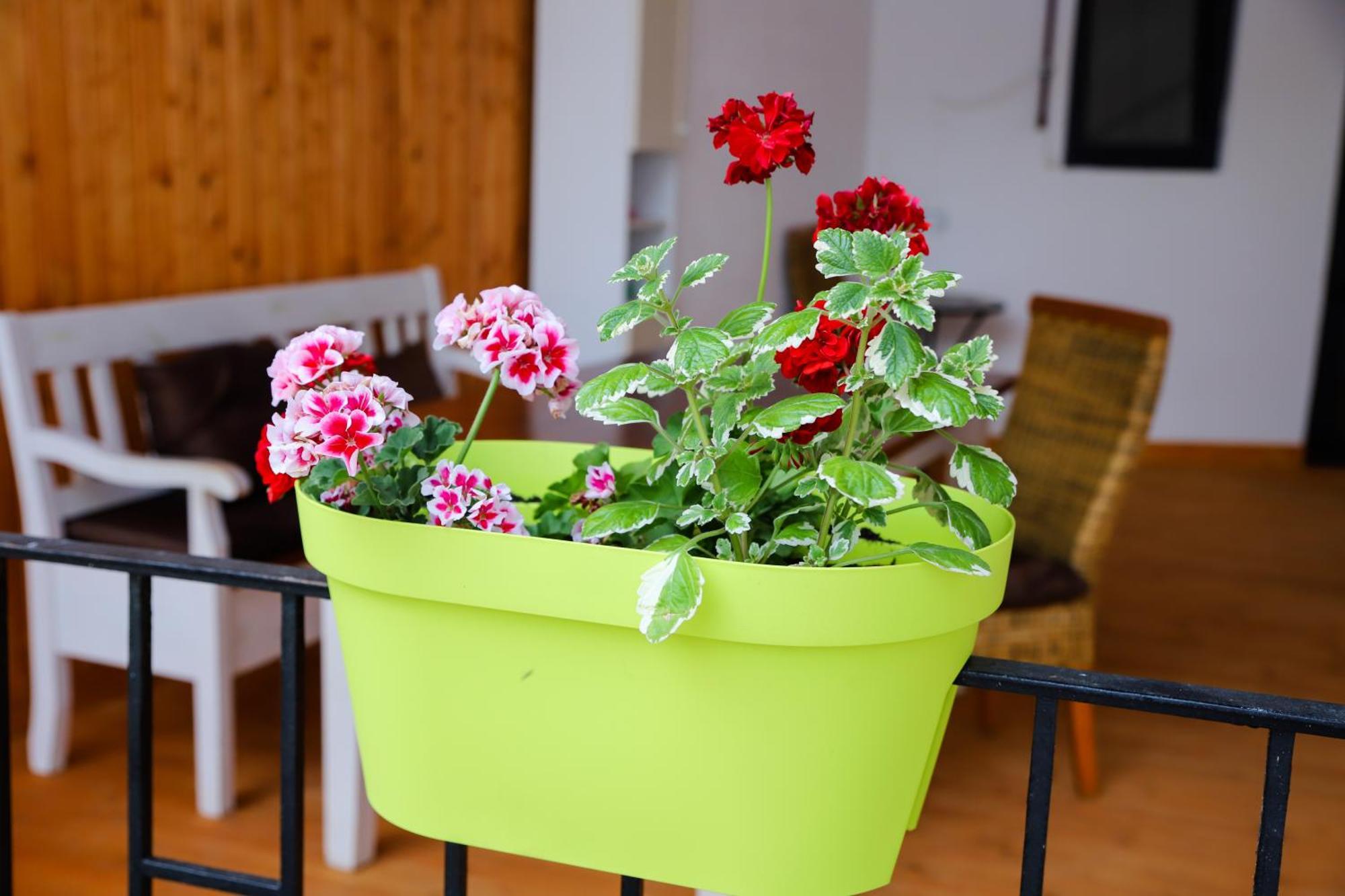 Floasiu Residence Guesthouse Sibiu Exteriör bild